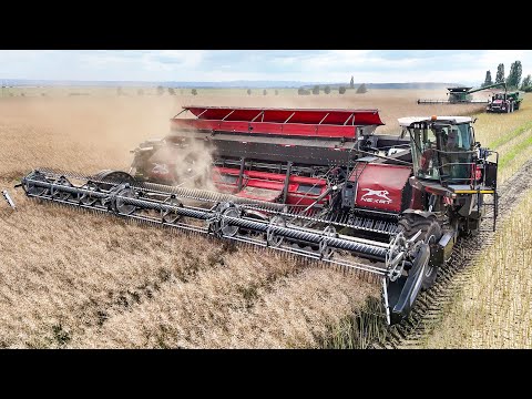 John Deere X9 + Nexat + 2x Claas Lexion 8900 | Rapsernte XXL 2025