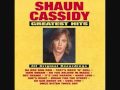 Shaun Cassidy: So Sad About Us