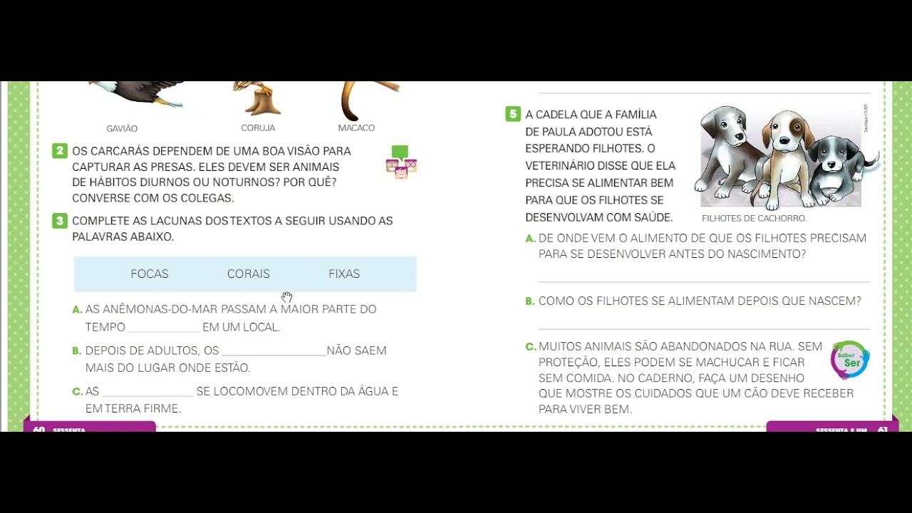 Watch Now Atividade de Ciência 2º ano 14/ 06/ 2021 Atividade de Ciência 2º ano 14/ 06/ 2021
