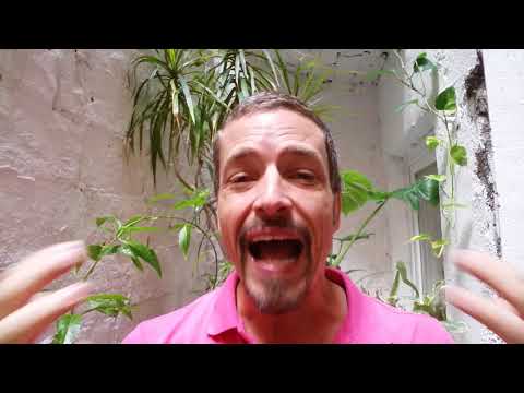 download lagu mp3 mp4 Vichy Catalan Salty, download lagu Vichy Catalan Salty gratis, unduh video klip Vichy Catalan Salty