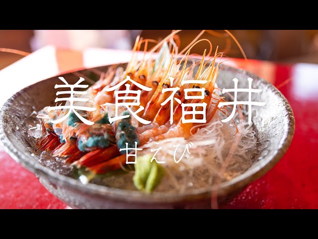 【美食福井】甘えび | プロモーション動画