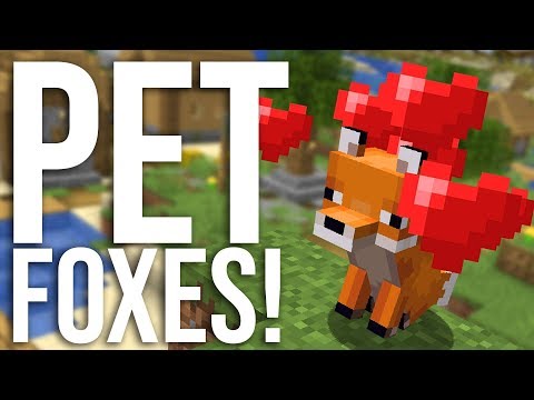 How to Tame Foxes in Minecraft (with commands!)