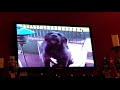 AFV What Would Their Kids Look Like On Disney Plus Part 3