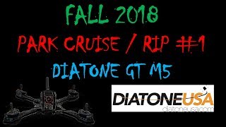 FALL 2018 - PARK CRUISE RIP #1 - DIATONE GT M5