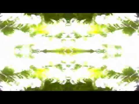 Philipp Stoya - Haklan Taka - #31 s