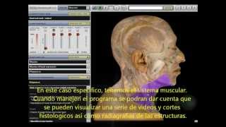 preview picture of video 'Anatomia diseccion (APR)'