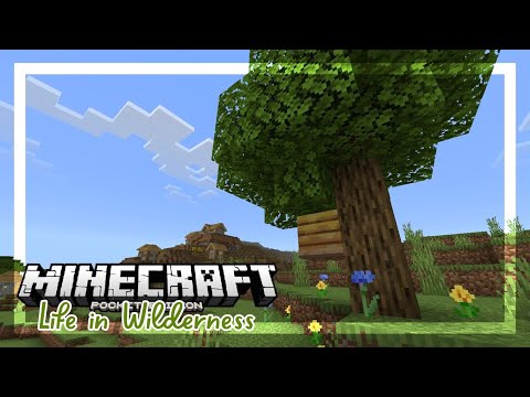 Life in Wilderness - Minecraft Survival Ep. 39
