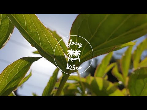 DUAN - Boba Tea (feat. Pania & ThatKidMaz)