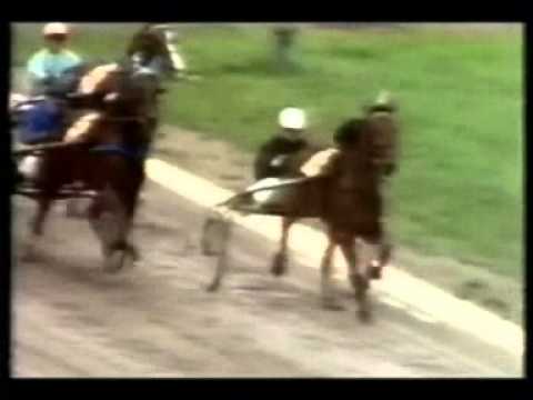Elitloppet 1976 -Dimitria