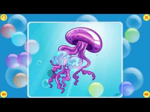 Marine residents. Mosaic. Video