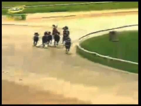 VALENCIA 4 CARRERA, VIERNES 07 DE AGOSTO DEL 2015