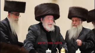 פורשפיל בוויזניץ - שוות 5786