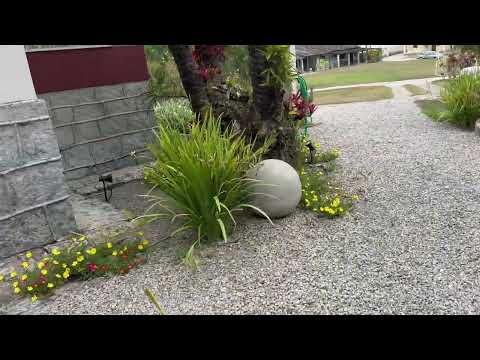 Fazenda pitimiju cajueiro Alagoas 