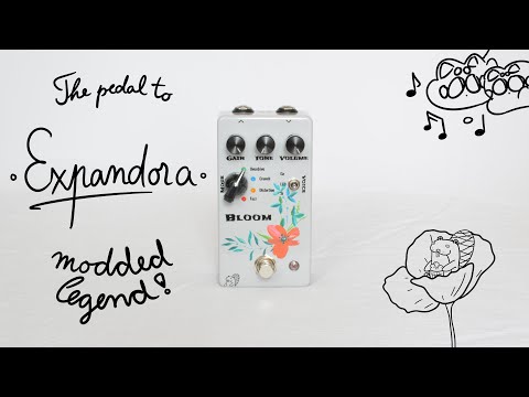 Drunk Beaver Bloom (custom Expandora with mods) image 5