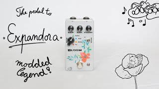 Video thumbnail for Drunk Beaver Bloom | Modded Expandora pedal clone DEMO + REVIEW| Boost, Overdrive + Forbidden Fuzz!! by Pair of Pandas