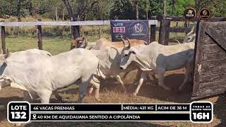 Vídeo LOTE 132