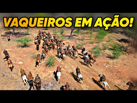 1ª PEGA DE BOI DA COMUNIDADE ALAZÃO EM CABROBÓ-PE