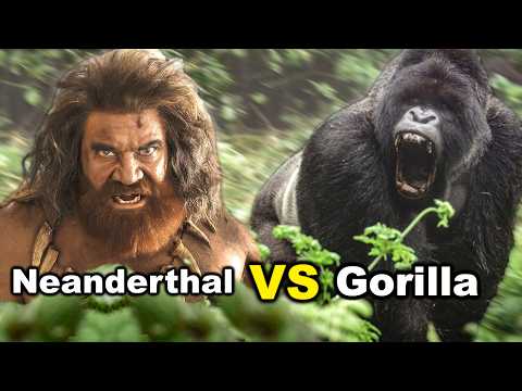 GORILLA vs NEANDERTHAL - Who Wins A FIGHT?