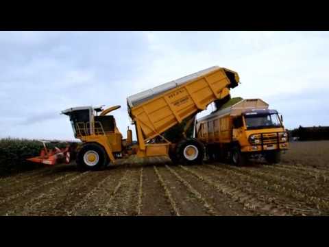 Ensilage de maïs: Pro DX III