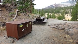 Sawmill Walk-in Campground Video