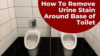How To Remove Urine Stain Around Base of Toilet