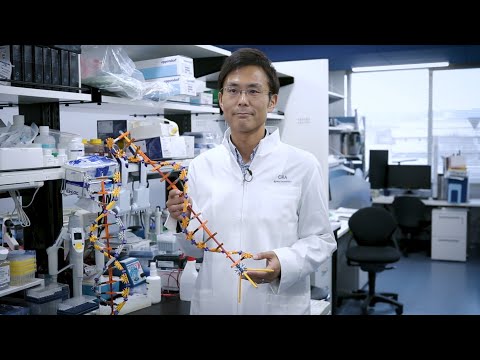 Exploring the principles upon which living organisms are constructed through research on RNA