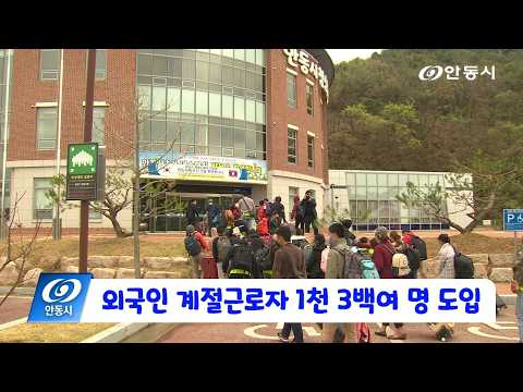 [안동 현장 리포트] 3월 9일, 외국인 계절근로자 1천 3백여 명 도입