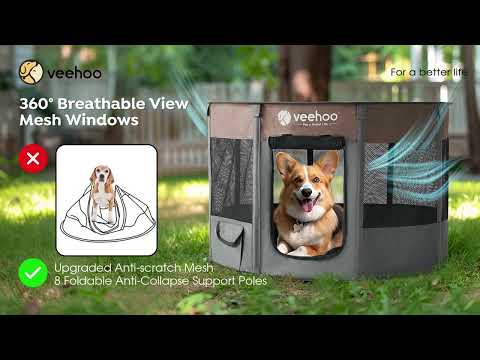 CBD for Cats Video Preview