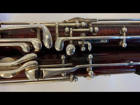 Fagott - Schaut mal rein!