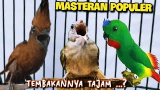 Download lagu MASTERAN POPULER TEMBAKANNYA TAJAM || cililin vs selindit vs kapas tembak || 3jam mp3 Download lagu MASTERAN POPULER TEMBAKANNYA TAJAM || cililin vs selindit vs kapas tembak || 3jam mp3