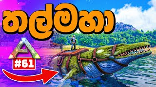 Video thumbnail image