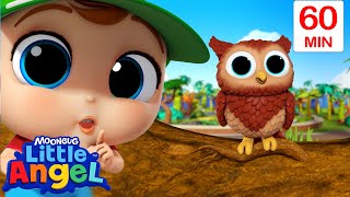 Loud or Quiet Animals? | Little Angel | Kids Cartoons & Nursery Rhymes | Moonbug Kids