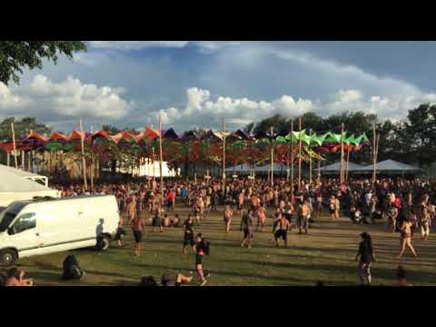 Aslam - Vegas vs Hi Profile - Harmony