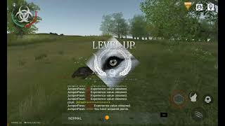 Playing Dog Online