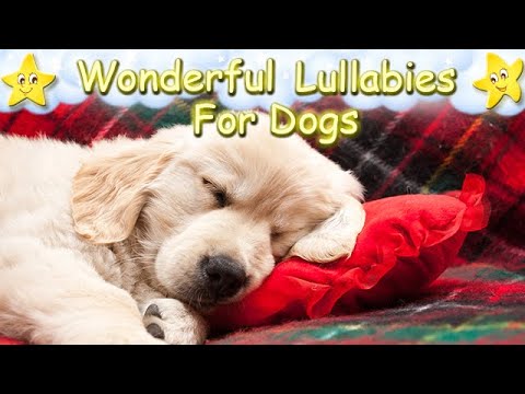 Music For Puppies ♫ Relax Your Dog Effectively Within Minutes