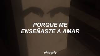 sorry - nothing but thieves // español