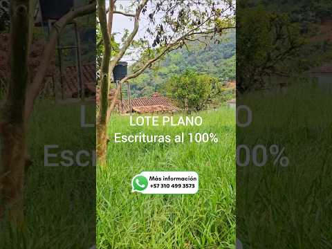Lote 100% plano , ESCRITURAS 100% , 220 millones Negociable
