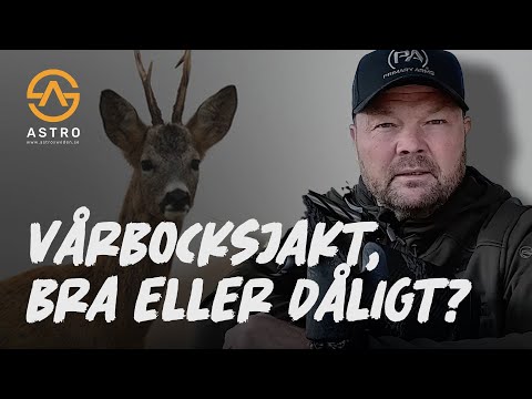 Vårbocksjakt, bra eller dåligt? - Astro Sweden