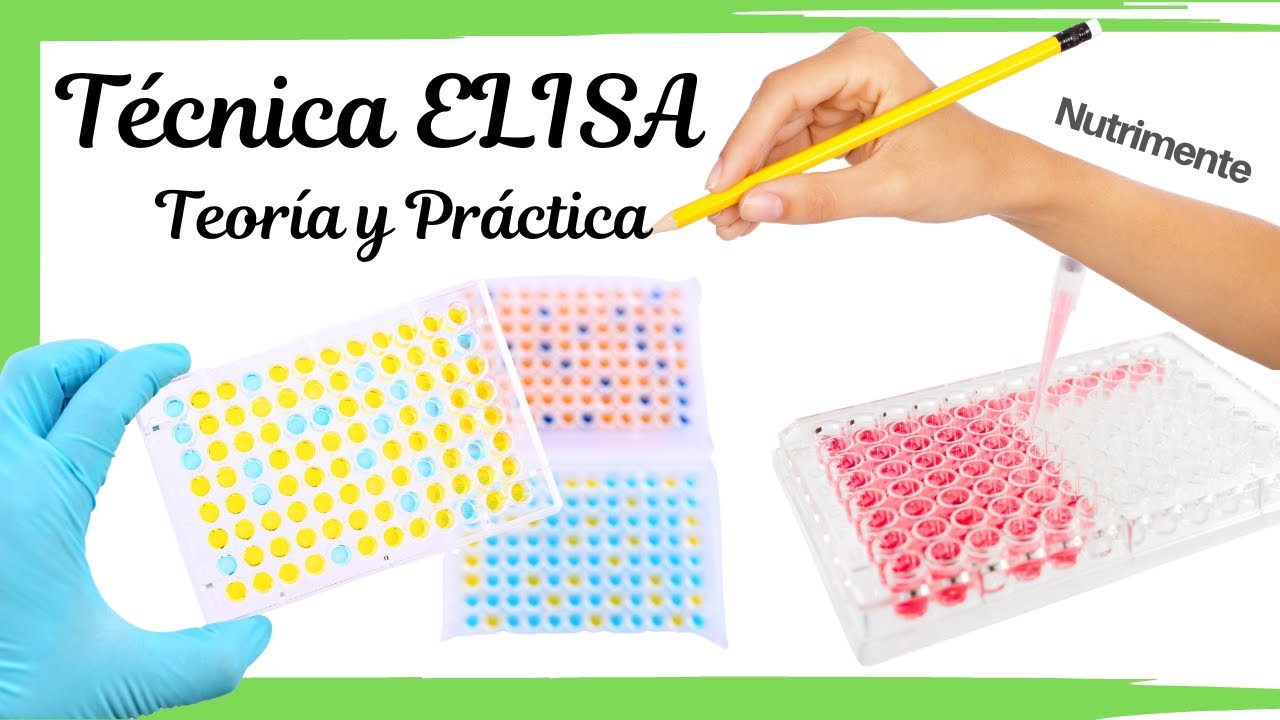 Técnica ELISA [Teoría y Práctica]