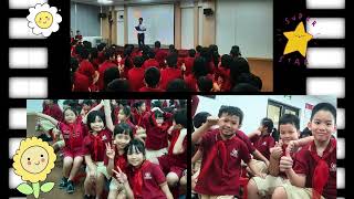 3B1 Video x