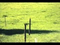 IQ - Promises (As the years go by)