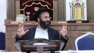 ליטוף כלב בשבת (הרב אלחנן משה נחמנסון) - התמונה מוצגת ישירות מתוך אתר האינטרנט יוטיוב. זכויות היוצרים בתמונה שייכות ליוצרה. קישור קרדיט למקור התוכן נמצא בתוך דף הסרטון