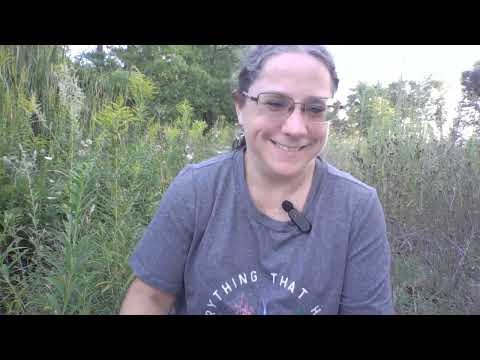 "The Evil of Suspicion"  -1 Samuel 22:1-2