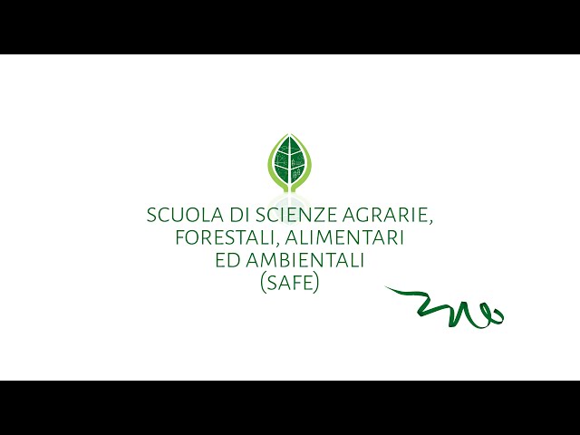 University of Basilicata video #1