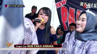 Download lagu Jablay voc. Avitha Poetry | NEW PANJI ASMARA | Show Desa Jumbleng Blok Jangga Tua | 2024 mp3