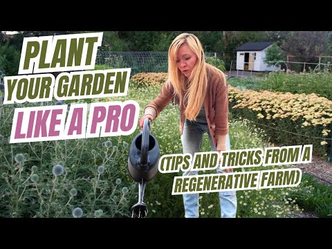 PLANT LIKE A PRO: reduce transplant shock and get garden success!