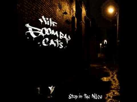 Beginning of the End - The BoomBap Cats