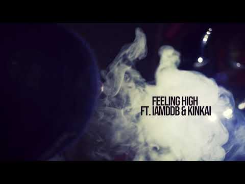 THE MOUSE OUTFIT FT. IAMDDB + KINKAI - FEELING HIGH  (INSTRUMENTAL)