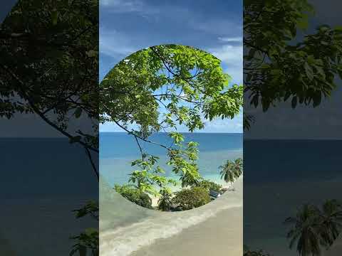 Shorts | YouTube Shorts | Nature