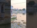 Gwalior Karbala Chale Hum Ya Hussain Tajiya Shorts Viral Viralvideo